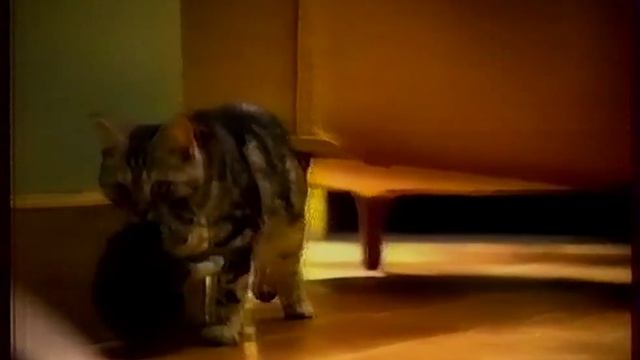 Блоки рекламы и анонсов СТС 25.04.2005