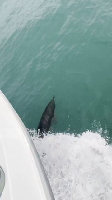 Морская прогулка в Сочи