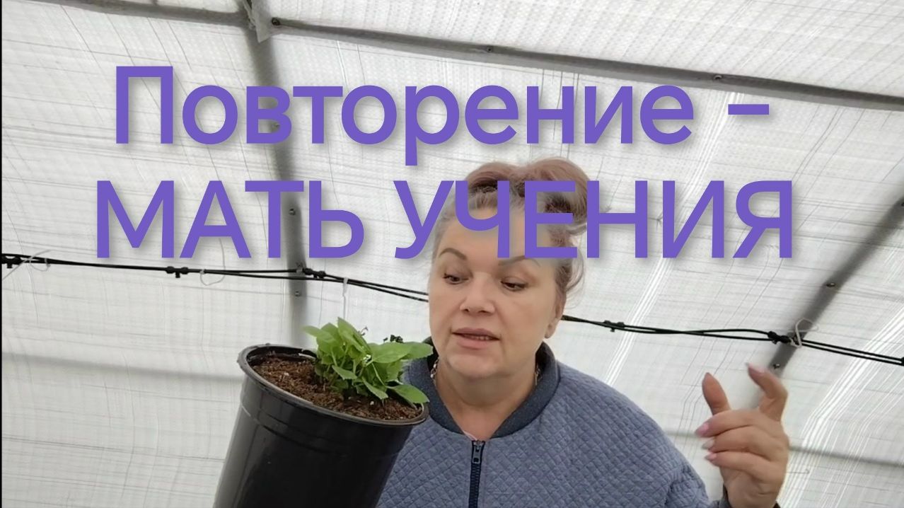 Повторение - МАТЬ УЧЕНИЯ! ГОРТЕНЗИИ и ОШИБКИ.