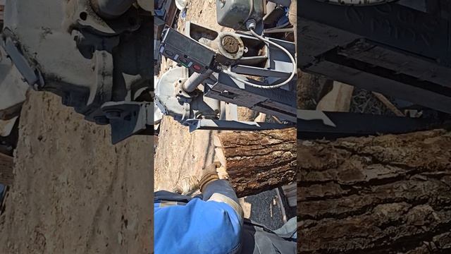 VID_20250224_141859.mp4