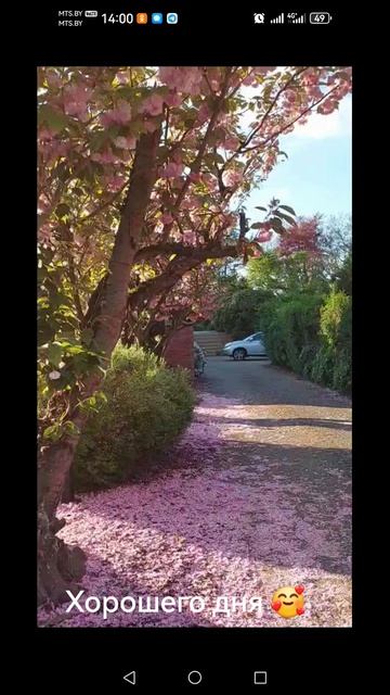 Пусть сердце улыбается