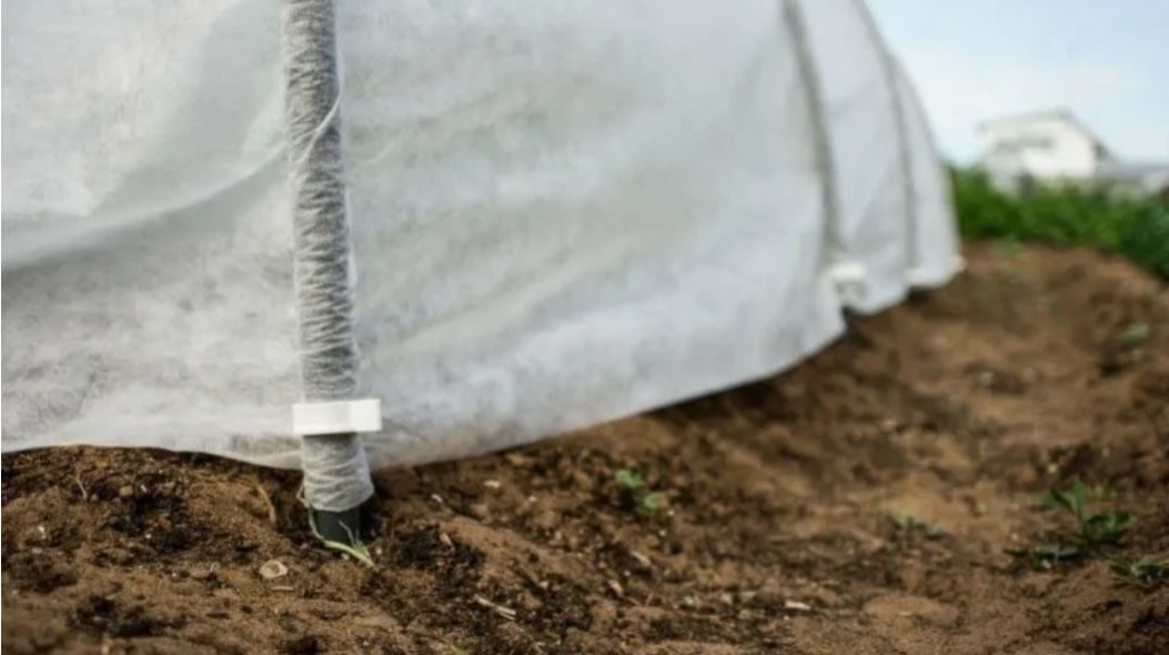 Собрался в сильный ветер и в дождь за дугами теплицы