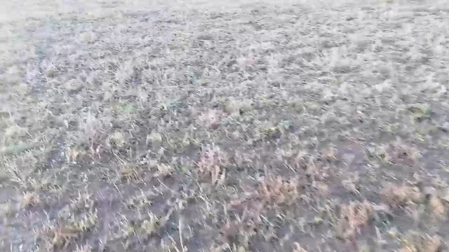 ПРЯМОЙ РЕПОРТ МИХАЛЫЧА ИЗ СЕЛА