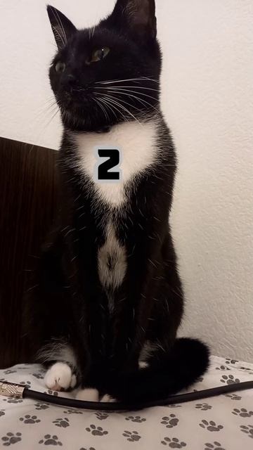 Калипса
логика подумать размышлять длядетей загадки думать развитеЕ развлечение игрыдлядете