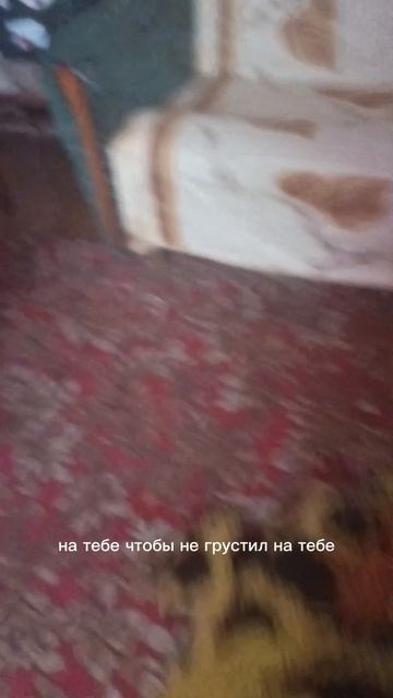 Жирафик грустит