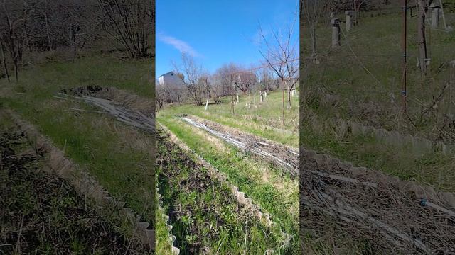 Видео для продажи дача тнаис