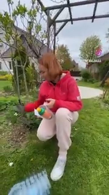 реанимация розы.mp4