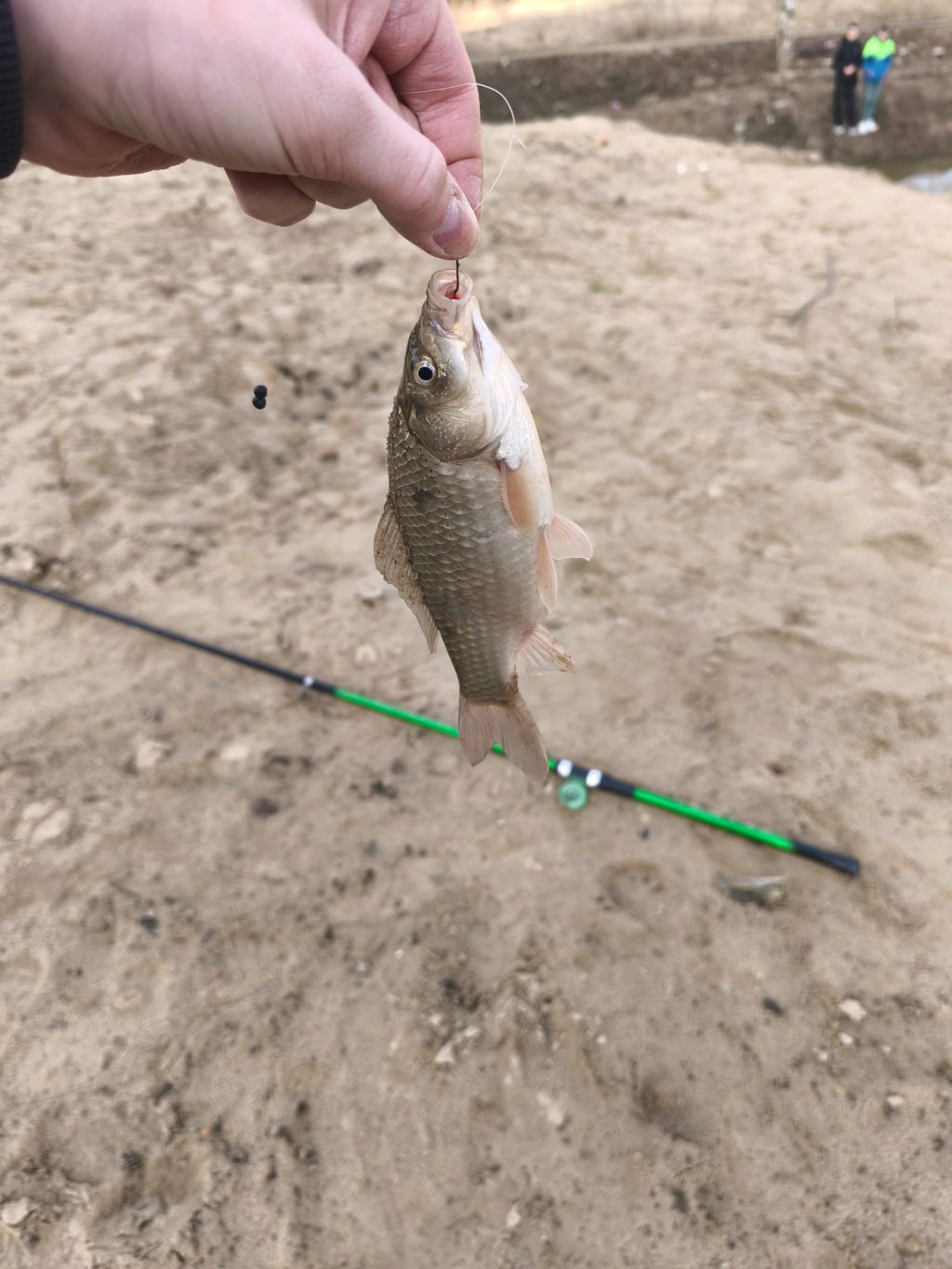 Рыбалка на канюшином дворе