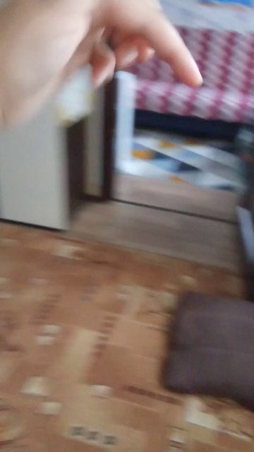 САША МАМА И БАБУШКА ПРОХОЖДЕНИЕ ОТ ДОМА. ИГРА ОКОНЧЕНА КАК ЗВУКА ДЛЯ ИГРА ОКОНЧЕНА 1982.