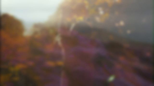 Обман осенний