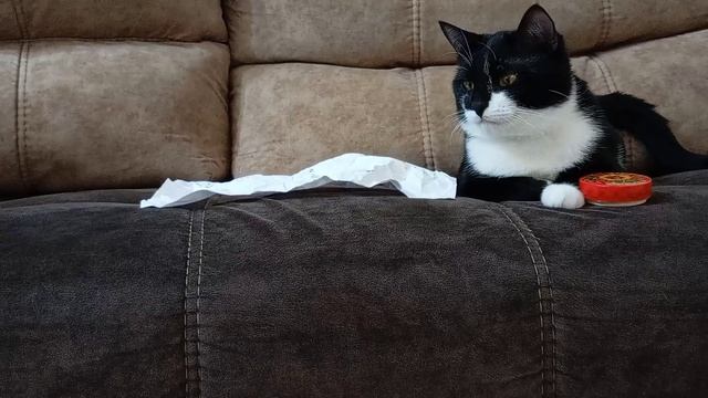 Зазеркалье