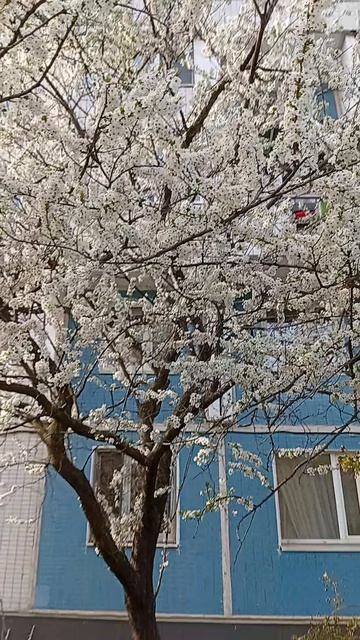 Доказательство весны 2026