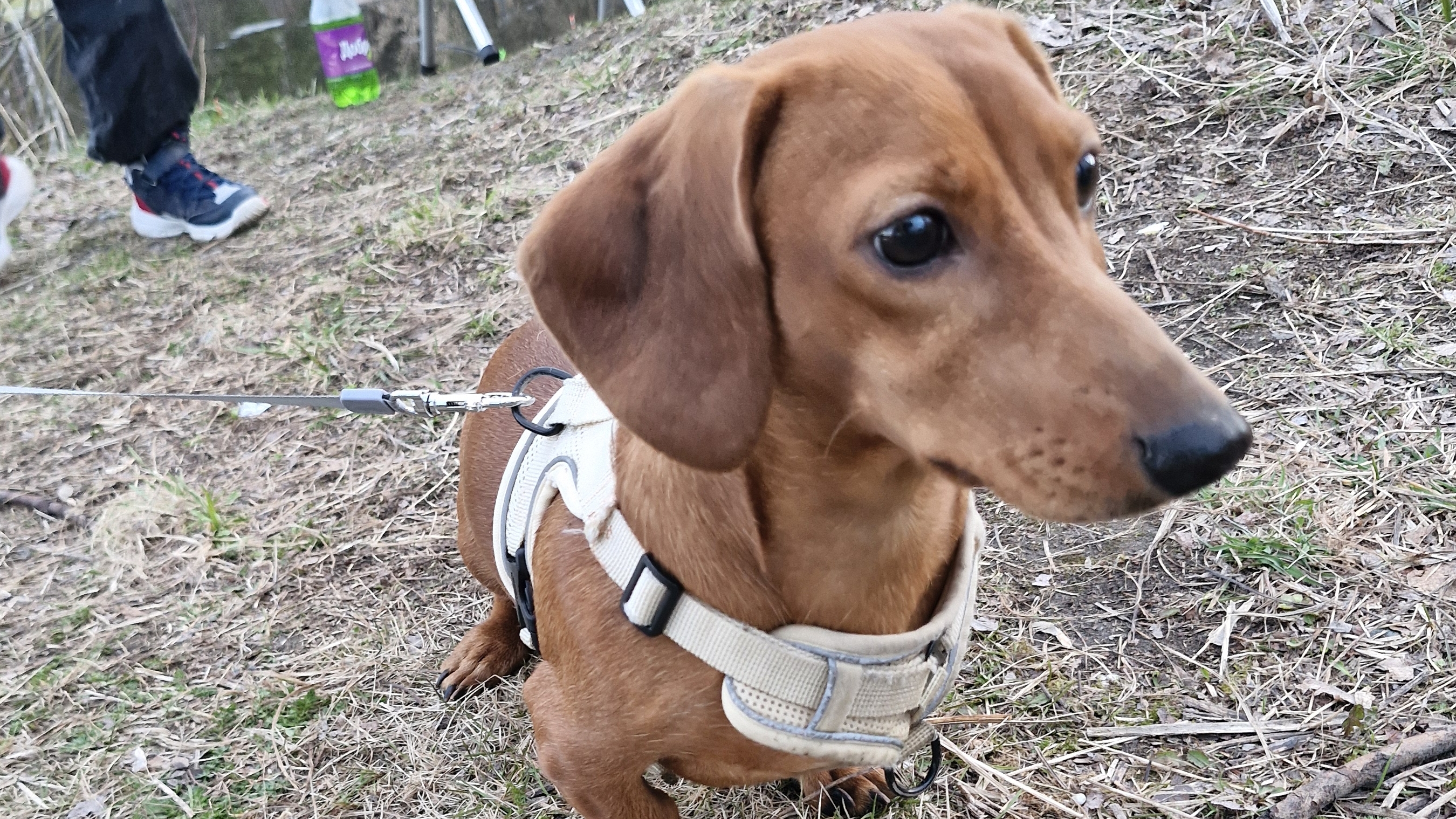 Рыбалка на квартале