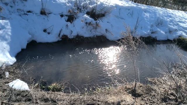 Весенний ручей