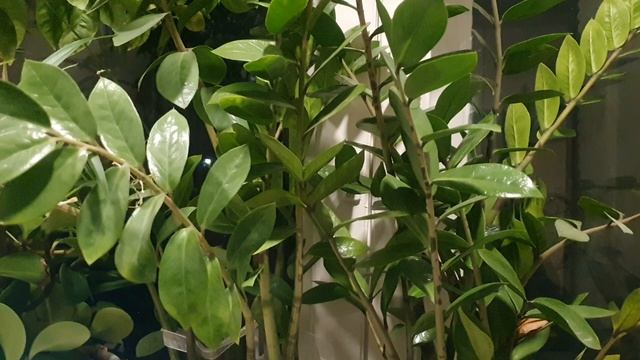 Мне довелось...