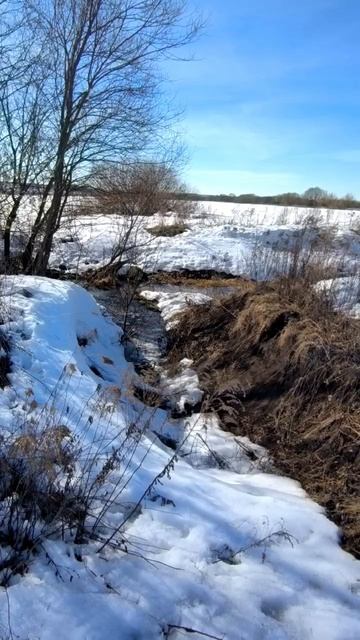 Весенний овраг в поле