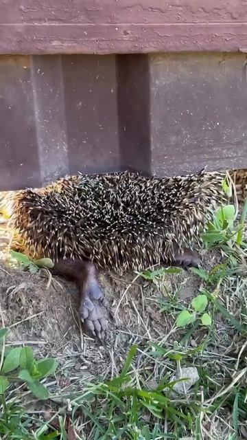 Застрял чутка 