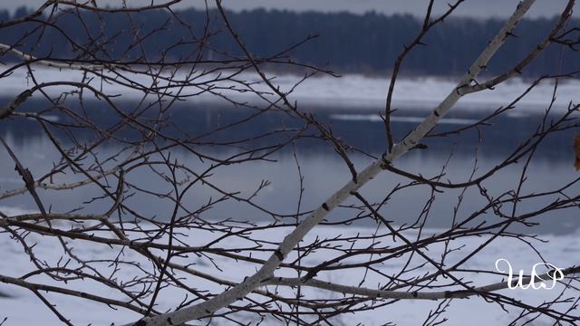 25 апреля 2026 г.дорога к переправе Енисейск-Еркалово