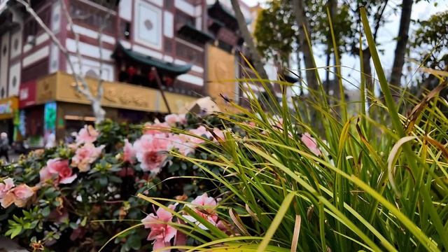 Китайское метро Юян Гарден прогулка