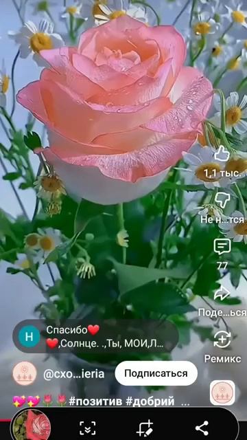 25 апреля 2026 г