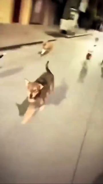 Кошмарный сон.