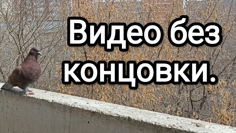 25-04-2026. Видео без концовки.