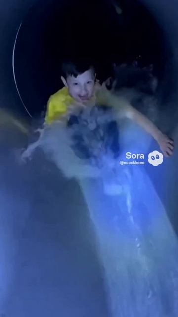 Ролик LT Из Мессенджера MAX.