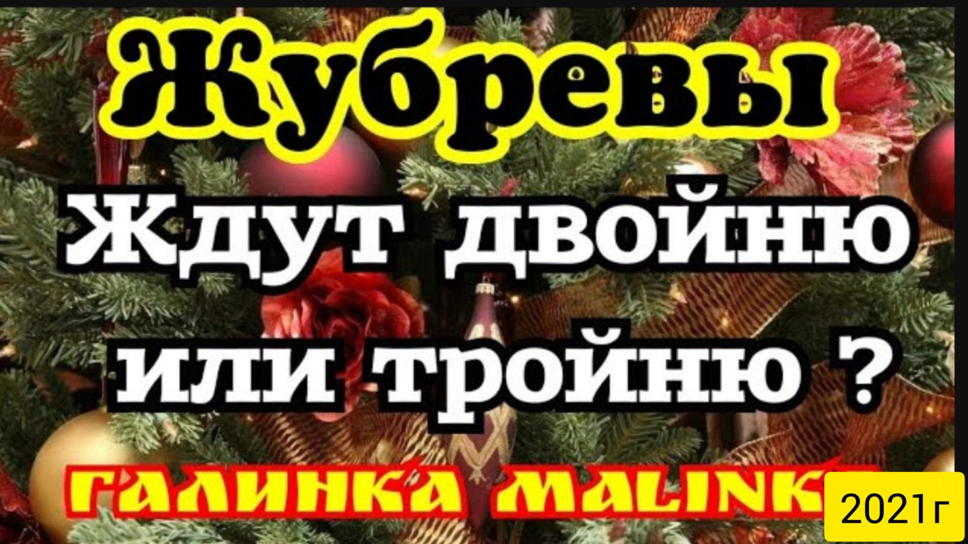 Жубревы Life Vlog _Саня Жубрев _Обзор Влогов _Ждут двойню или тройню_ __