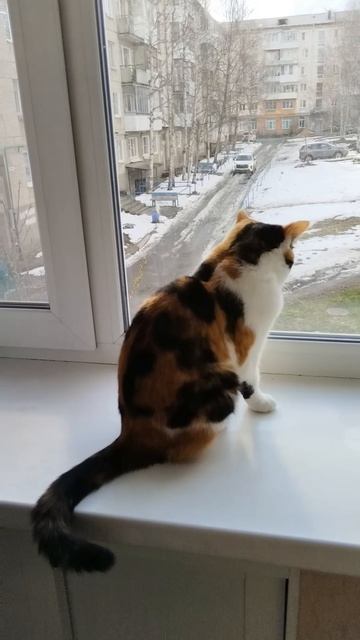 Масенька и птички 