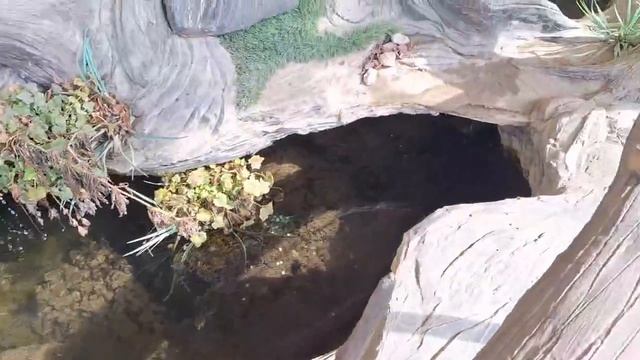 осматриваю работу других мастеров