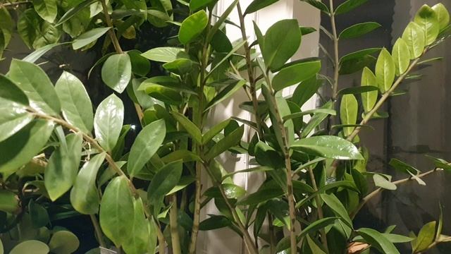 К Господу...