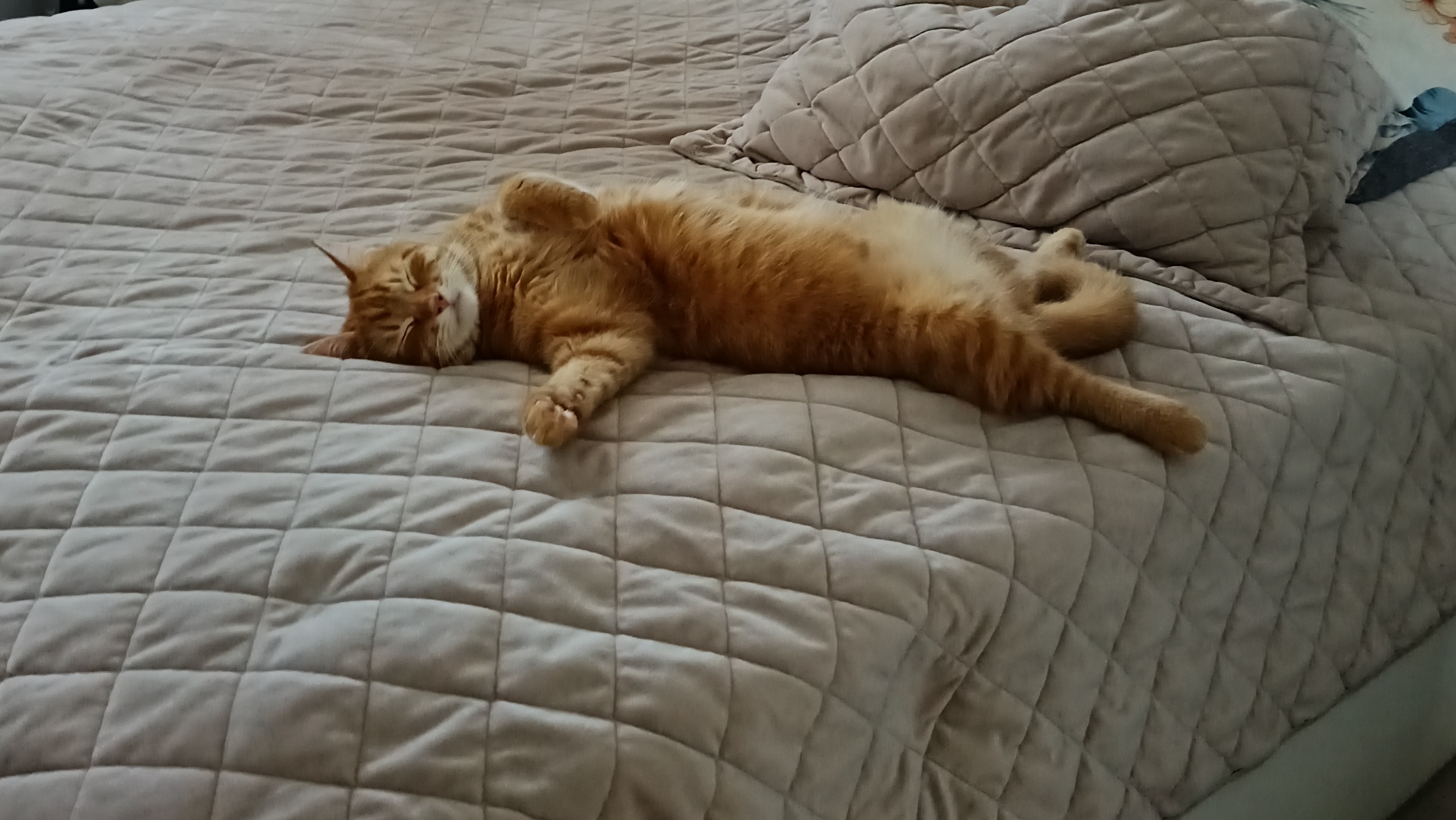 Уборка квартиры. Меняю шторы Что прячется в кондиционере?