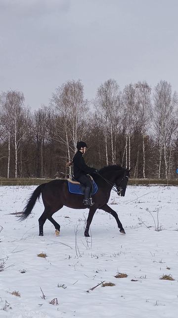 Вика и Рокас Вэлл разминочная рысь на снежном плацу.