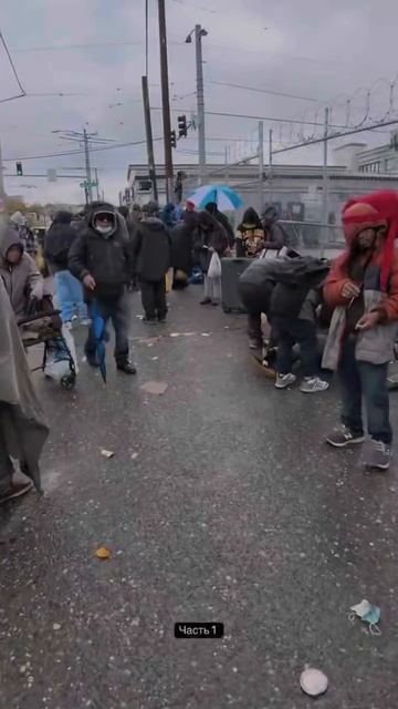 Видео от Департамент Кринжовых Видосов  ДКВ