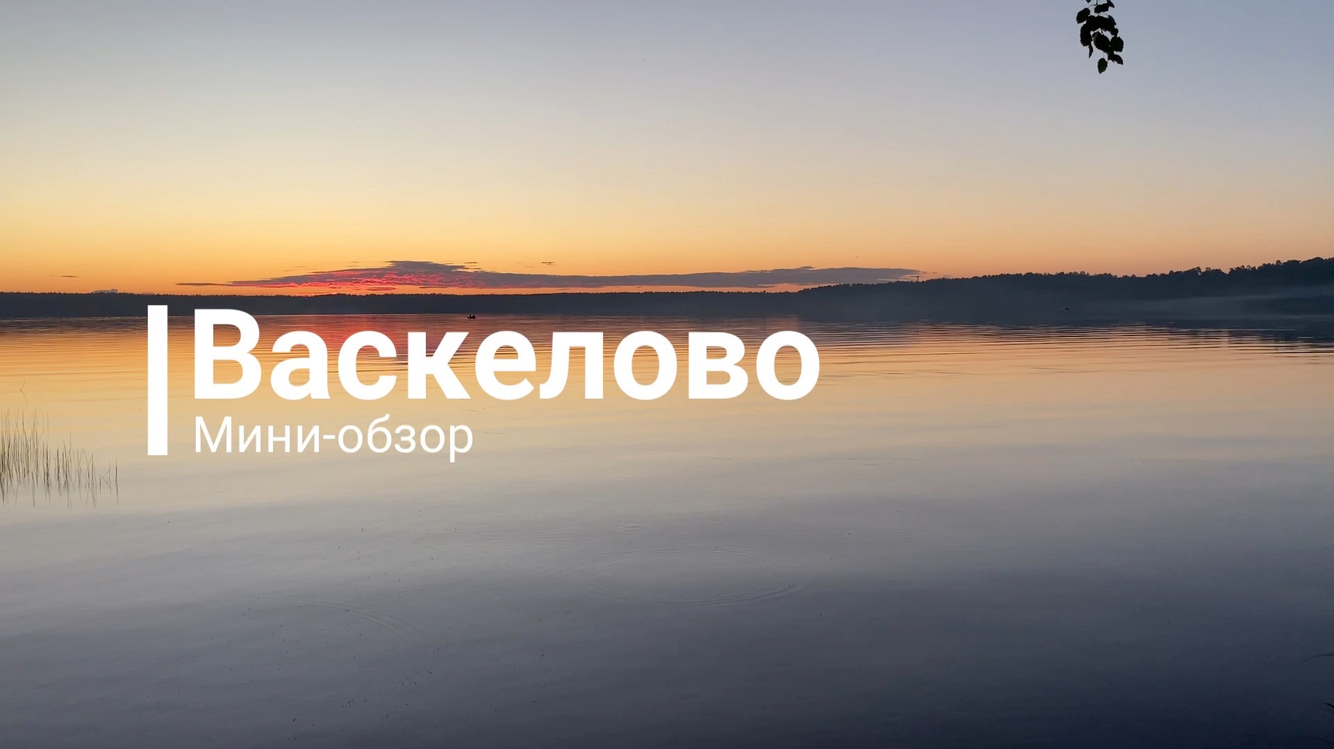 Мини-обзор на Васкелово