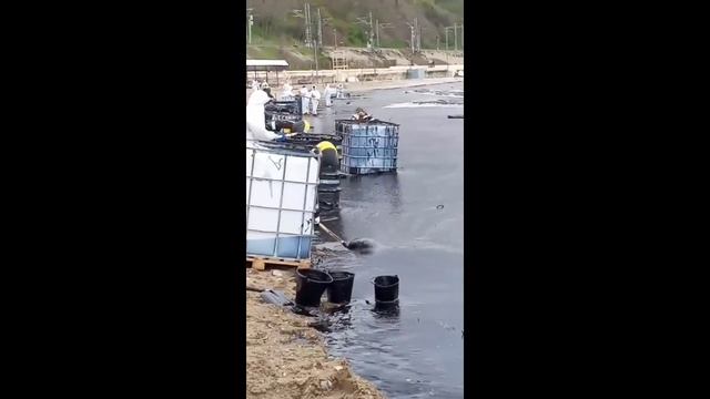 НЕФТЬ В ТУАПСЕ. НУ ТОЧНЕЕ ЕЁ НЕТ СЕЗОНУ НИЧЕГО НЕ УГРОЖАЕТ.