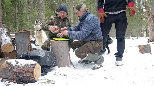 За окунем на вездеходе УРАГАН - это было клево! Перед ледоходом - весна 2026г.