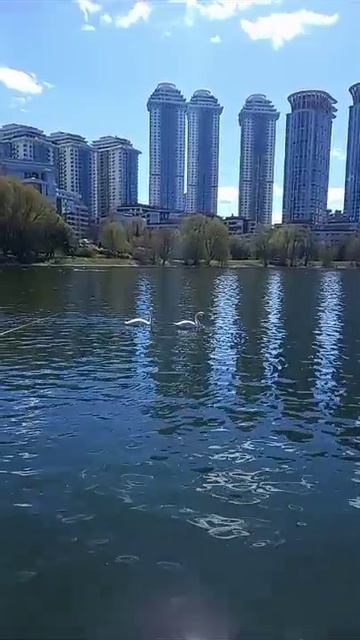 Москва Мосфильмовский пруд 25.04.26