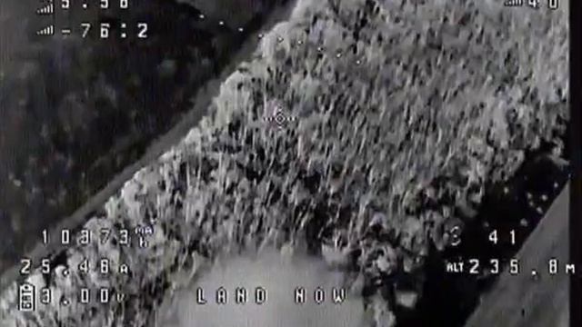 пару кабанчиков сегодня хотело пробежать но так и осталось там сво СВО мобилизация