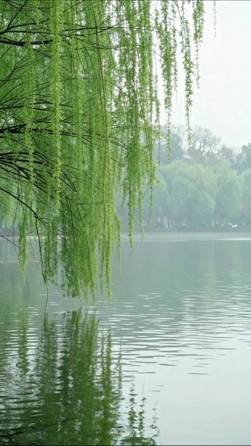 Инновации в архитектуре: скрытые механизмы арHITEKТУРА дизайн технологии