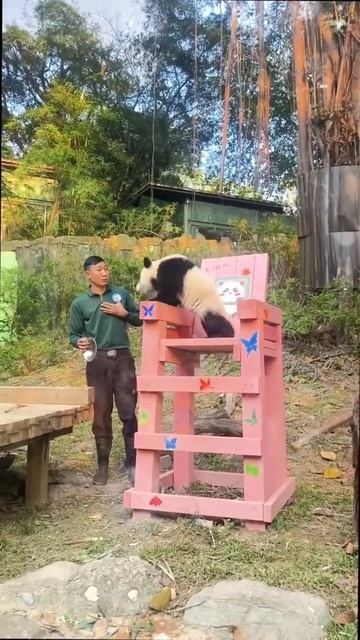 Video_2026-03-06_18-23-27