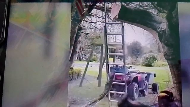 Смешное видео для вас