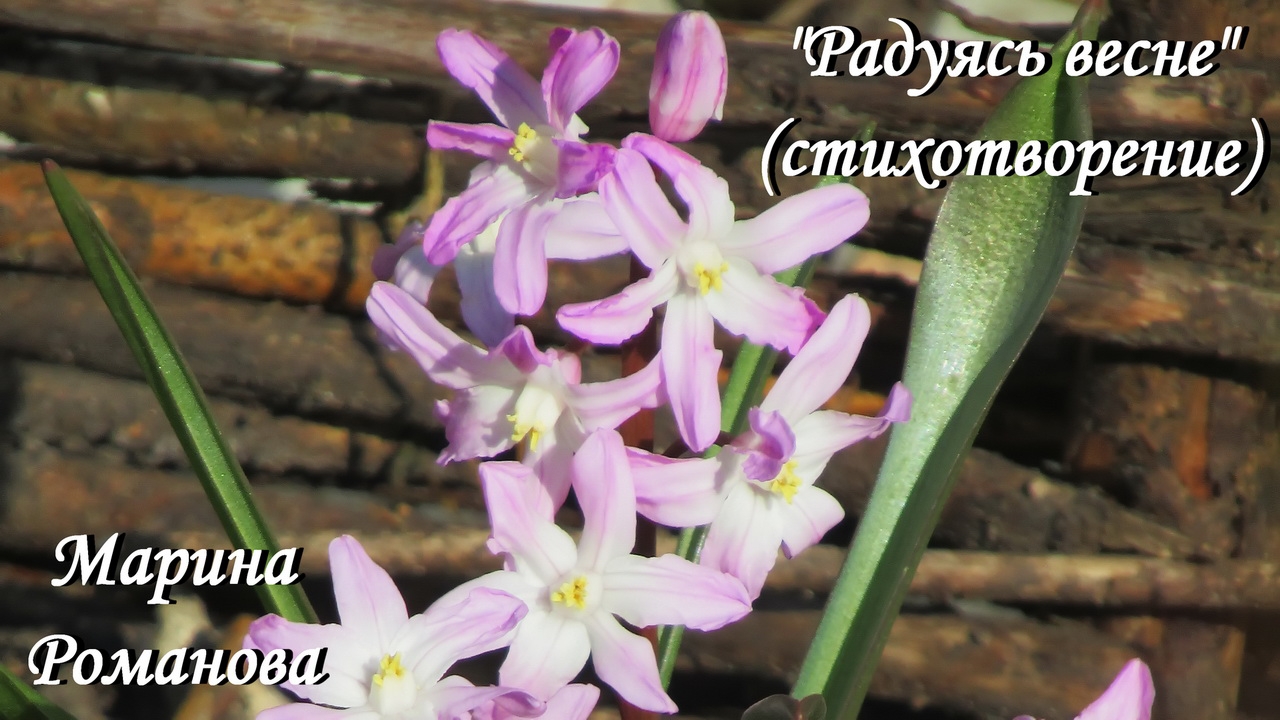  Марина Романова РАДУЯСЬ ВЕСНЕ стихотворение 4.04.2022