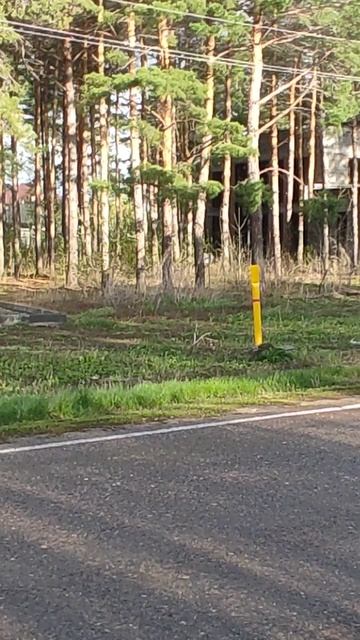 ивановская