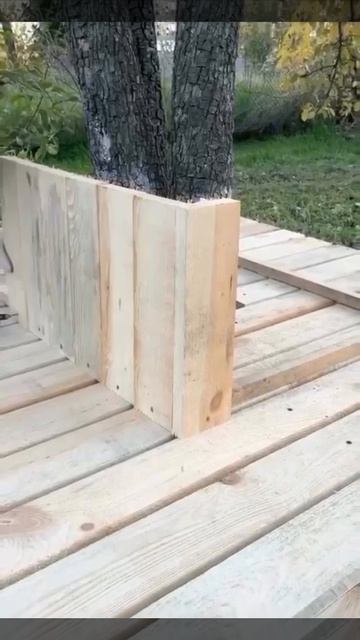 лавка вокруг дерева.MP4