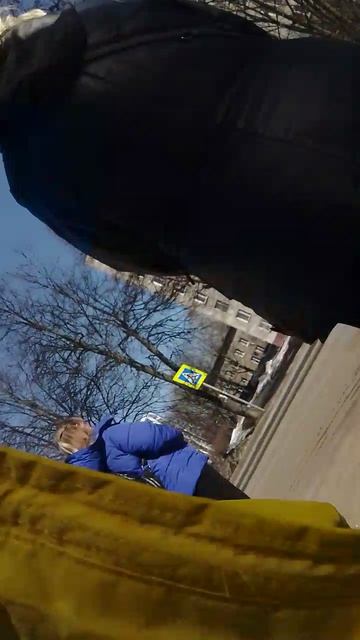 история жизни