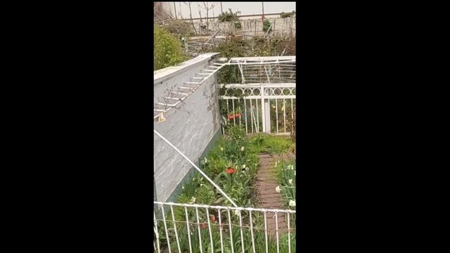 Ставрополь Домик у дороги