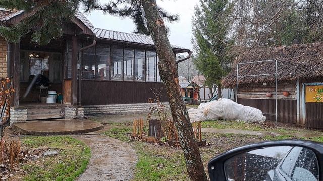 Феноменальный медосбор с ивы