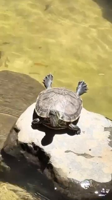 Грациозный обогрев. Блаженство