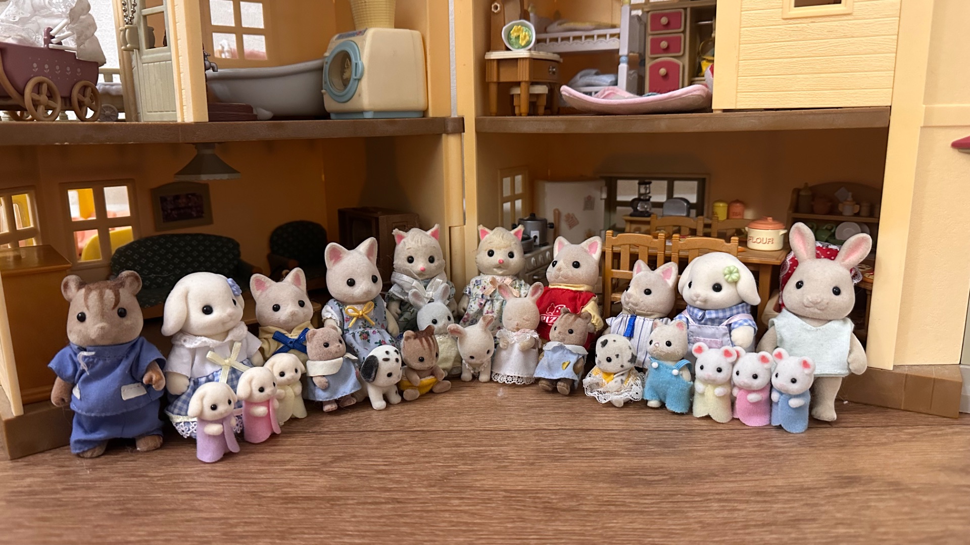 Сериал. 1 серия. Знакомство Сильвашек.